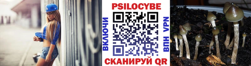 Псилоцибиновые грибы MAGIC MUSHROOMS  Купить закладки  Ангарск 